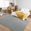 Andecor Soft Area Rug, 4x6 Grey Washable Rugs for Living Room Bedroom, Indoor Fluffy Carpets for Dorm Boys Girls Kids Room Nursery Home Decorations