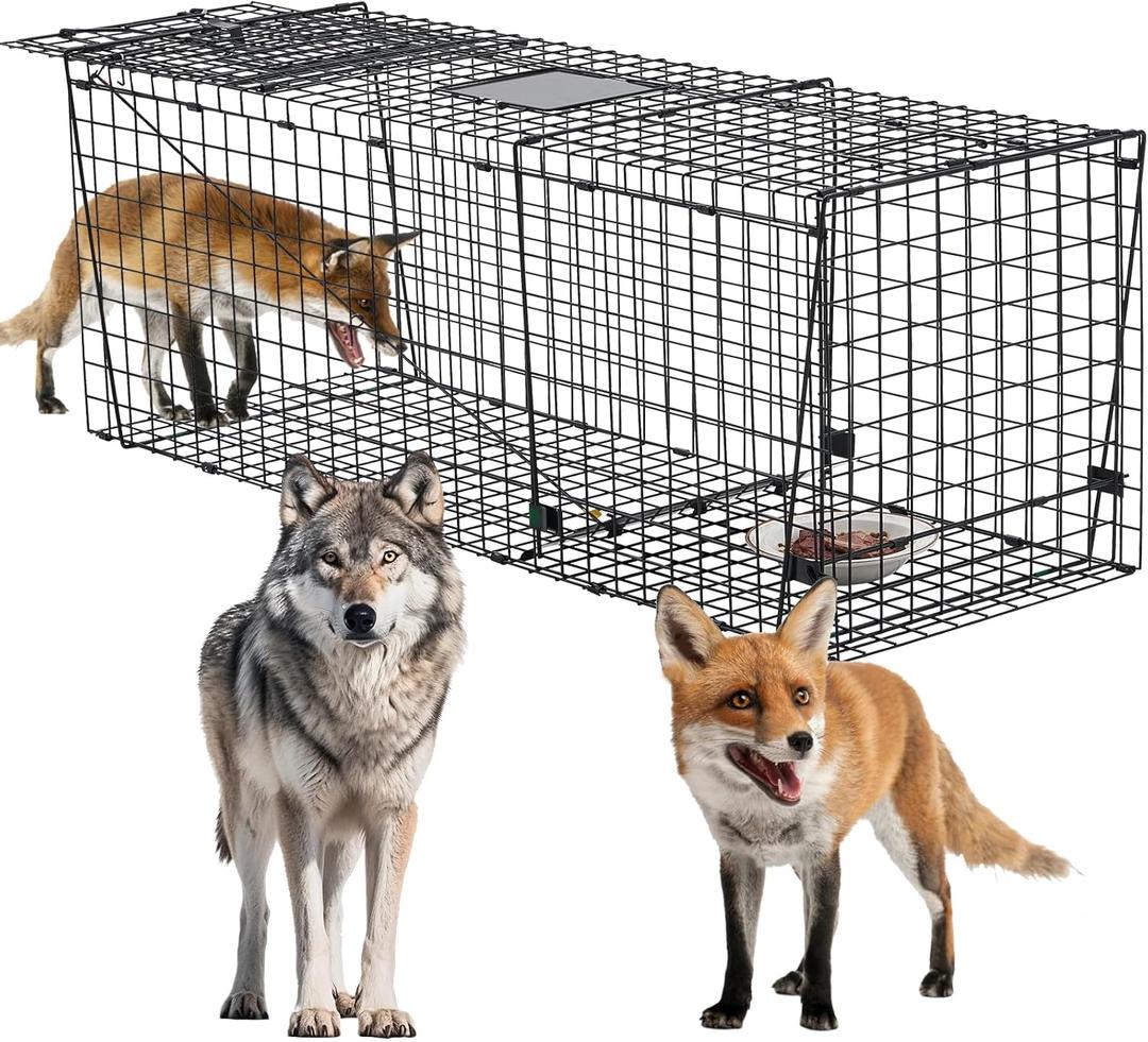 Heavy Duty Coyote Trap 59 Inch,Humane Live Animals Trap for Dogs, Coyotes, Bobcats, Foxes and Other Similar Size Animails.Extra Large and More Sturdy Cage