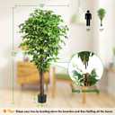 6.2ft Ficus Artificial Trees with 3 Natural Curved Trunks, 74" Tall Lush Faux Tree for Home Decor Indoor, Green Lifelike Fake Ficus Tree Artificial Plants