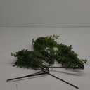Plant Green 3pcs
