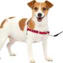 PetSafe Easy Walk No-Pull Dog Harness - The Ultimate Harness to Help Stop Pulling - Take Control & Teach Better Leash Manners - Helps Prevent Pets Pulling on Walks, Small, Red/Black