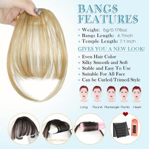 Clip in Bangs11