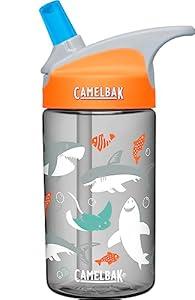 CamelBak Eddy Kids Water Bottle 12oz (Airplane Bandits)