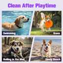 Dog Ear Wipes,Gently Remove Ear Wax & Dirt,Relieve Ear Itching Fresh Coconut Scent, All Natural Ingredients Dog Ear Cleaning Wipes - 50 Count (1.6'' 50pcs Purple)