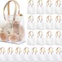 20 Pcs Clear Plastic Gift Bags with Handles,Small Reusable Plastic Gift Wrap Bags,Party Favor Bags for Wedding Birthday Baby Shower DIY(5.9 x 5.1 x 2.4 Inch)