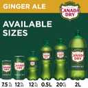 Canada Dry Ginger Ale Soda, 12 fl oz cans, 12 pack