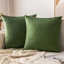 MIULEE Pack of 2 Moss Green Velvet Throw Pillow Covers 20x20 Inch Soft Solid Decorative Square Set Cushion Cases for Spring Couch Sofa Bedroom