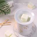 2 x LETINE Wax Melts 2.5oz(1 Pack), Coconut Scented Wax Melts, 100% Soy Wax Melts Wax Cubes with All- Natural Strong & Non Toxic Essential Oil for Warmer, Gifts Set for Home Fragrance/Spa Aromatherapy