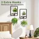 LASZOLA Plant Hangers Holder Wall Mount for Indoor Window, 2 Pack Floating Flower Stand Shelf with Hooks, Metal Picture Frame Hanging Planter Display Decor for Kitchen Bathroom, Black
