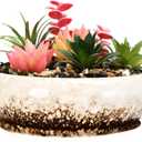 Garden Bowl Planter Water Plant Pot Water Lily Pots Hydroponic Planter Bonsai Pots Garden Decorative Cactus Stand Flower Container Daffodil Pot Bowl (Ivory White)