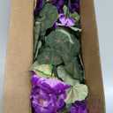 Artificial Geranium Fake Flowers for Outdoors Decoration, 6 Bundles Silk Geraniums Flower UV Resistant Look Real Faux Plants for Front Door Garden Porch Planter Patio Balcony Yard Indoor Home, Mix