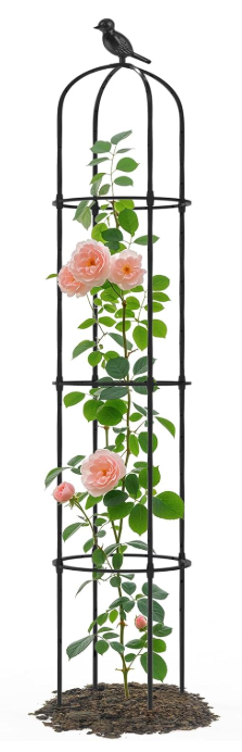 Trellume Garden Obelisk Trellis for Climbing Plants Outdoor  69"(H), Rustproof Trellis with Adjustable Rings, Metal Plant Support for Potted Vines, Garden Trellis Use for Outdoor or Indoor(1 Pack)