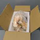 GreenHouzz 19" H Phalaenopsis Faux Orchid Plant Silk Orchid Centerpiece Artificial Floral Arrangement in Ceramic Pot (Champagne)