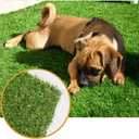 Artificial Grass Lawn Turf 5 FT x 8 FT(40 Square FT) 0.8inch Realistic Synthetic Grass Mat, Indoor Outdoor Garden Lawn Landscape for Pets,Fake Faux Grass Rug with Drainage Holes