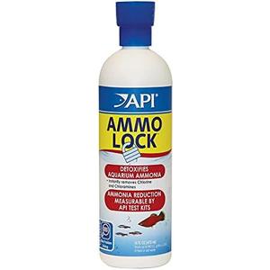 API AMMO-LOCK Freshwater and Saltwater Aquarium Ammonia Detoxifier 16-Ounce Bottle