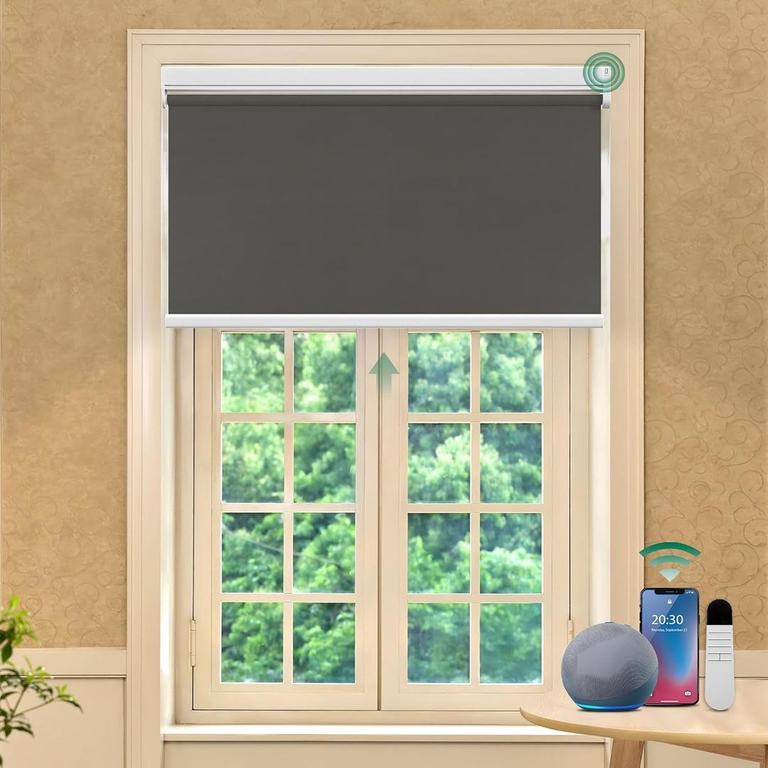 Allesin Motorized Roller Blinds with Remote Control for Windows, Blackout Smart Roller Shade, Battery Powered Electric Smart Blind (Dark Gray,H72 x W48)