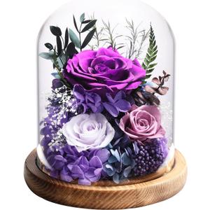 lovenfold Flowers for Delivery Preserved Rose Gifts for Women,Long-Lasting Forever Flowers in Glass Dome, Birthday Gifts for Women Mom Friend(Purple Rose)