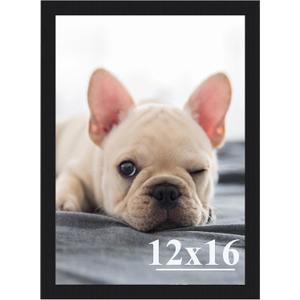 RUN HELIX 12x16 Picture Frame, Wall Gallery Photo Frames,Stable and Sturdy Black Frame with High Definition Plexiglass,12x16 Poster Photo Frame,Horizontal and Vertical Formats for Wall Hanging, Black