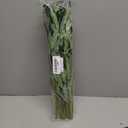 8 Pcs 26.8 Inch Artificial Olive Leaves Long Stems Fake Eucalyptus Plant Branches for DIY Floral Crafts Arrangement Vase Bouquets Wedding Greenery Decor