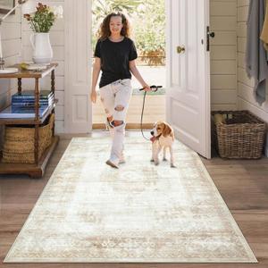 Area Rug 3x5 Entryway Rugs - Machine Washable Vintage Boho Area Rug Non-Slip Kitchen Rugs Soft Stain Resistant Indoor Door Mat, Small Oriental Throw Rug for Entrance Hallway Bedroom (Beige, 3'x5')