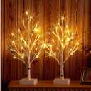 Hairui Pre-lit Tabletop Birch Tree with Timer 24LED 18IN Battery Operated for Christmas Father's Day Party Decoration, 2 Sets