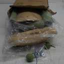 PAWZ Road 38" Multi-Level Cactus Cat Tree with Scratching Posts, Cozy Condo, and Hammock  Stylish Cat Tower for Indoor Cats (Small-38 inches)