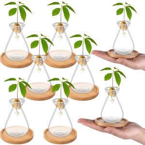 6Pcs Small Avocado Seed Starter Vase with Bamboo Base Avocado Tree Growing Vase Kit Avocado Seed Sprout Starter Vase Planter Pot Easy Seed Gift Plant Glass for Acorn Garlic Vines Root Seeds