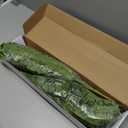 FOREST PRINCE 35" Ferns Artificial Bush Plants Large, 2 Artificial Boston Ferns with 39 Fronds for Outdoors Home Decor