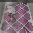 Colorfil 16x25x1 Air Filter (2-Pack) | Made in the USA | Color Changing | Remove Cat and Dog Odor | MERV 8 for Pet Hair Dander and Dust | 15.5"x24.5"x0.75" Exact Size