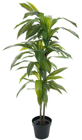 Nearly Natural 48in. Dracaena Silk (Real Touch) Artificial Plant, 48", Green 5357 4ft. Golden Cane Palm Tree,Green