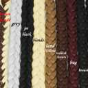 Long Braided Ponytail Extension for Black Women Soft Synthetic Hair Piece with Hair Tie Straight Wrap Around Ponytail Braided Hair Extensions pre Stretched 24 Inch 2 Packs 120 Gram (stripe skunk)