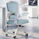 Office Chair - Ergonomic Desk Chair with Adjustable Lumbar Support, Mesh Computer Chair, Executive Chair for Home Office Comfortable Lumbar Support (Blue)