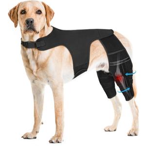 Dog Knee Brace for Torn ACL Hind Leg, Adjustable Dog Leg Braces for Back Leg with 4 Metal Stabilizers Helps with Torn CCL, Luxating Patella, Ligament Injuries, Hip Dysplasia (XXL+)