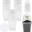 EBaokuup 30PCS Clear Plant Nursery Pots with Humidity Dome - 3" Durable Plastic Gardening Pot, Small Plant Container for Seedlings/Vegetables/Succulents/Cuttings