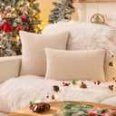AQOTHES Beige Winter Throw Pillow Covers 12x20 Inch Set of 2, Boucle Faux Fur Pillow Covers,Cozy Fluffy Home Living Room Farmhouse Decor for Sofa Couch Bed