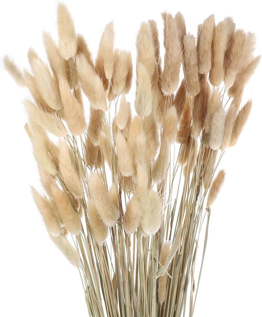 MECCANIXITY 120pcs Natural Rabbit Bunny Tails Dried Flowers 24" Mini Pampas Grass Lagurus Ovatus Bunch for Floral Wedding Decor Christmas, Beige