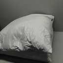 MIULEE Pillow White 2 Pack 23x23 In