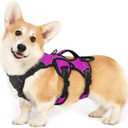 rabbitgoo Escape Proof Dog Harness, Soft Padded Full Body Pet Harness, Reflective Adjustable No Pull Vest with Lift Handle and Lesh Clip for Large Dogs Walking Hiking Training, S, Purple (Small (Pack of 1))