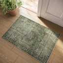 Machine Washable Throw Rugs for Entryway: Door Mat Indoor Entrance 2x3 Small Rug Stain Resistant Non-Slip Low Pile Soft Carpet for Kitchen Front Door Indoor Entrance Entry Bedroom