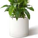 Giraffe Creation 14-Inch Round Cylinder Plant Pot, Modern Indoor/Outdoor Planter with Drainage Hole, Saucer & Water Reservoir, White