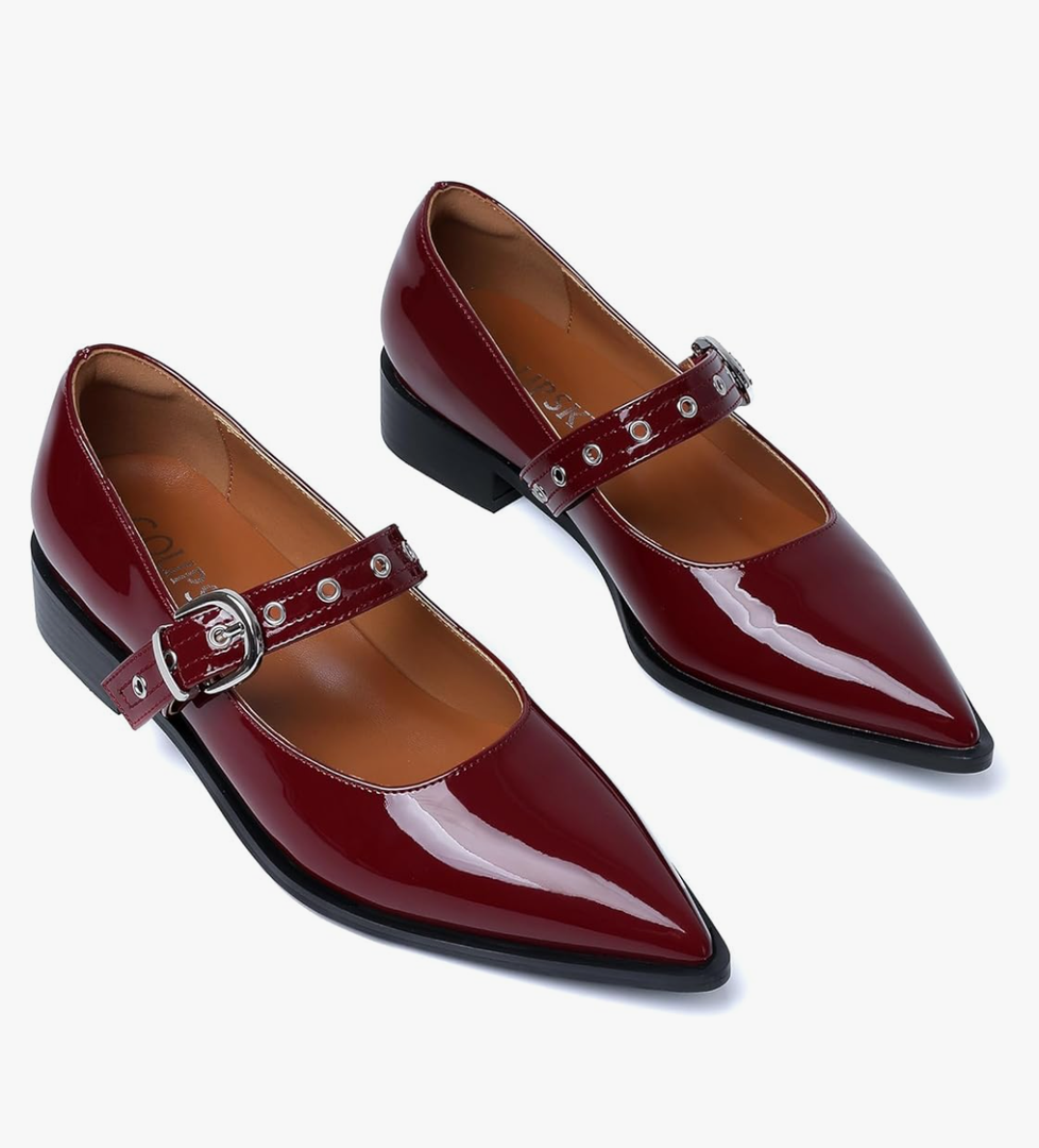 Mary Jane Shoes Women Chunky Low Heels Buckle Strap Pumps Womens Closed Pointed Toe Ballet Flats Causal Daily Dress Shoes Size 8, burgundy