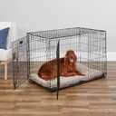 MidWest Homes for Pets 42-Inch iCrate for Large Breeds, 71-90 lbs, Double Door Folding Dog Crate with Divider Panel, Leak-Proof Tray & Secure Latches, Portable, Durable & Easy to Assemble