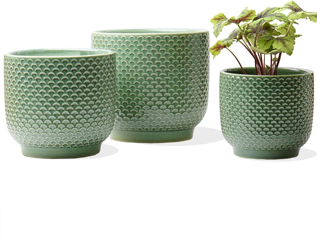 4 + 5 + 6 Inch Ceramic Pots for Indoor Plants, Succulents Plant Pots, Orchid Flower Pot with Drainage Hole, Modern Clay Stoneware Planters, Set of 3 (Green, 4+5+6 Inch)