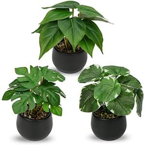 Briful 2PCS Fake Plants Potted Artificial Plants Mini Faux Plants in Black Ceramic Pots Greenery Décor for Home Office Table Room Farmhouse Indoor Decoration