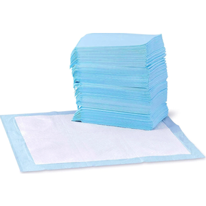 Basics Dog and Puppy Pee Pads, 5Layer LeakProof Super Absorbent, QuickDry Surface, Potty Training, Regular (22x22"), 100 Count, Blue & White