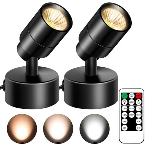 FZWLE 2 Pack LED Spot Lights - Dimmable with Timer & Remote,3W 3000K-5000K, 5.9FT Cord for Paintings,Wall Art, Indoor Plants & Home Accent Lighting