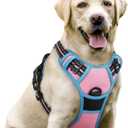 rabbitgoo Dog Harness No Pull with 2 Leash Clips, Adjustable Soft Padded, Reflective Oxford No Choke Pet Vest with Easy Control Handle for Large Dogs, Pink & Blue, L