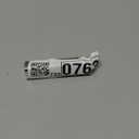 L'Oreal Paris Plump Ambition Hyaluron Lip Oil, 24 HR Lip Gloss with Hyaluronic Acid, Volumizing Formula with Glass-Like Shine, La Nuit Sparkle, 0.16 Fl Oz