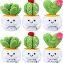 6 Pcs Crochet Cactus Teacher Gifts for Women Life is Tough But So are You Positive Cactus Crochet Animals Get Well Gifts Emotional Inspirational Support with Card for Women Desk Decor