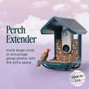 Birdbuddy Blue Perch Extender Add-On Accessory for Better Watching Experience - Outdoor Bird Perch - Weatherproof and Durable